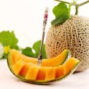 선명농장 이미지