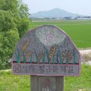 크린데이 이미지