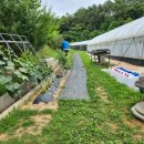 불태산농장 이미지