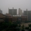 8단지주공부동산공인중개사사무소 이미지