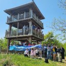 대상투어 이미지