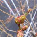 솔빛농장 이미지