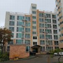 렉스타운 이미지