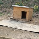 성미산학교 이미지