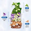 마켓티온 | 비듬샴푸 헤드앤숄더 가려운 두피케어 샴푸 850ml, 민감성 두피에 딱 맞을까 자세히 알아봤어요