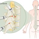 삼성탑마취통증의학과의원 이미지