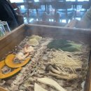 탁사정닭강정 호매실점 | 수원 호매실 주차 편한 놀이방 있는 무한리필 편백회관 편백찜 샤브샤브 맛집