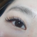 바네사아이래쉬