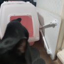 까망모래 이미지