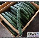 종진농장 이미지