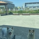 제주 여행 이후의 일상...푸른고래카라반