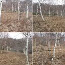 이영식농장 이미지