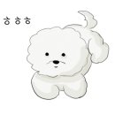 포동펫살롱 이미지