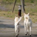 산울림민박 네이버블로그