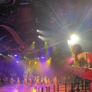 라이온킹 | 홍콩 디즈니랜드 라이온킹 공연후기