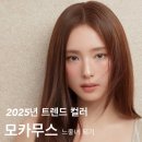 파라다이스헤어앤스파
