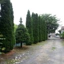 녹색마을길 이미지