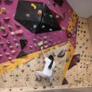 포레스포 이미지