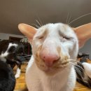 한울무역 | 왈츠 이후- 발등에 불 떨어진 대학생의 중간고사 후기