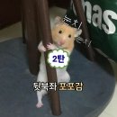 GS25 망미제일점 | [공지] 편의점 신상 | CU 5종 GS25 2종 버터떡 솔직 비교 후기
