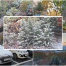 본죽성서강창역점 이미지