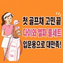 에벤에셀골프의류샵 | 첫 골프채 고민 끝! 논현 골프샵에서 다이와 엘파 중고 풀세트 구매한 후기⛳