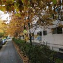 삼작로410번길 이미지