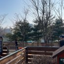 황금공중화장실 이미지