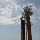 오페라의 뜰 II | 대성당, 테르트르 광장, 젤라또맛집 (Tutti Sensi), 오페라 가르니에, 생쉴피스 성당, 식당 (Demi-Lune)