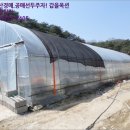 괴산군감물면이담보건진료소 네이버블로그