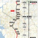 주정차단속-36 이미지