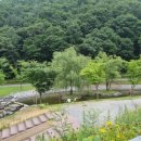 서운산 자연휴양림 자동차야영장 이미지