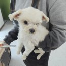 옥길아라동물의료센터 이미지