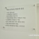 손결 스킨&바디