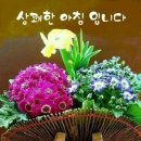 자동차보험 ? 이미지