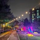 장자호수길 | 주말에 다녀온 구리 장자호수공원 2025 빛 축제 후기