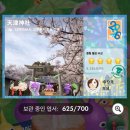 20260422(수)- 이디야 포켓몬굿즈 2차 후기 &amp; 사월 중순 일상