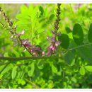 창원중앙역 주차장 부근 이미지