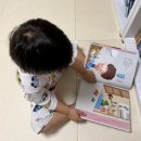 [도서]6살 올라가기 전 들인 전집, 내 친구 사회공룡 형제맘 솔직후기