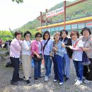 청천나들이 이미지