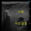 Dr.오즈동물병원 이미지