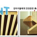 세이프독하우스 이미지