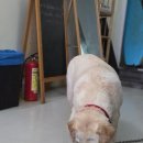 BLUE12 양양서프 | 홀리데이서프 추천 : 다낭 한인 서핑업체 비교 솔직후기