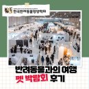 케이펫푸드 | 케이펫페어 후기, 대전과 세텍에서 만난 펫푸드 트렌드