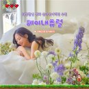 내츄럴 | 웨딩촬영 가성비 생화 플라워디렉팅 헤이내츄럴 추천 가격 후기