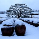 서일농장 이미지