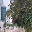 애라헤어샵