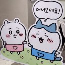 먼작귀 팝업 후기