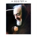 『오상의 성 비오 신부』- 극도의 아픔을 허락하시는 이유 이미지