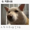 우리동네아이스크림공도우림점 | 2월 일상 | 하루가 48시간이면 좋겠어